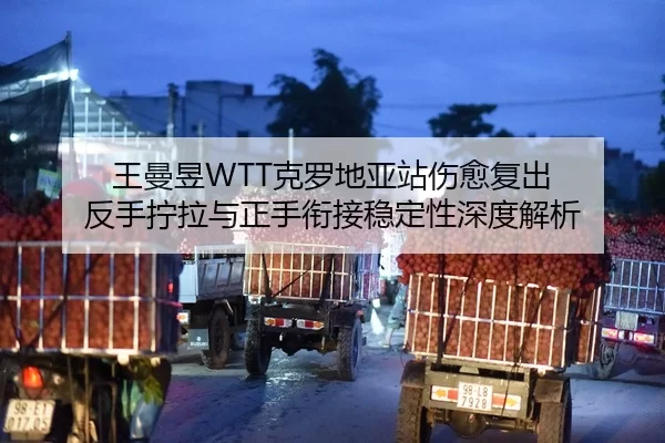 wang-man-yu-ke-luo-di-ya-zhan-shang-yu-fu-chu-fan-shou-ning-la-yu-zheng-shou-xian-jie-wen-ding-xing-shen-du-jie-xi-2-675.jpg