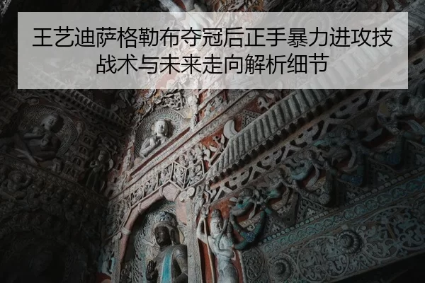 wang-yi-di-sa-ge-lei-bu-duo-guan-hou-zheng-shou-bao-li-jin-gong-ji-zhan-shu-yu-wei-lai-zou-xiang-jie-xi-xi-jie-2-452.jpg